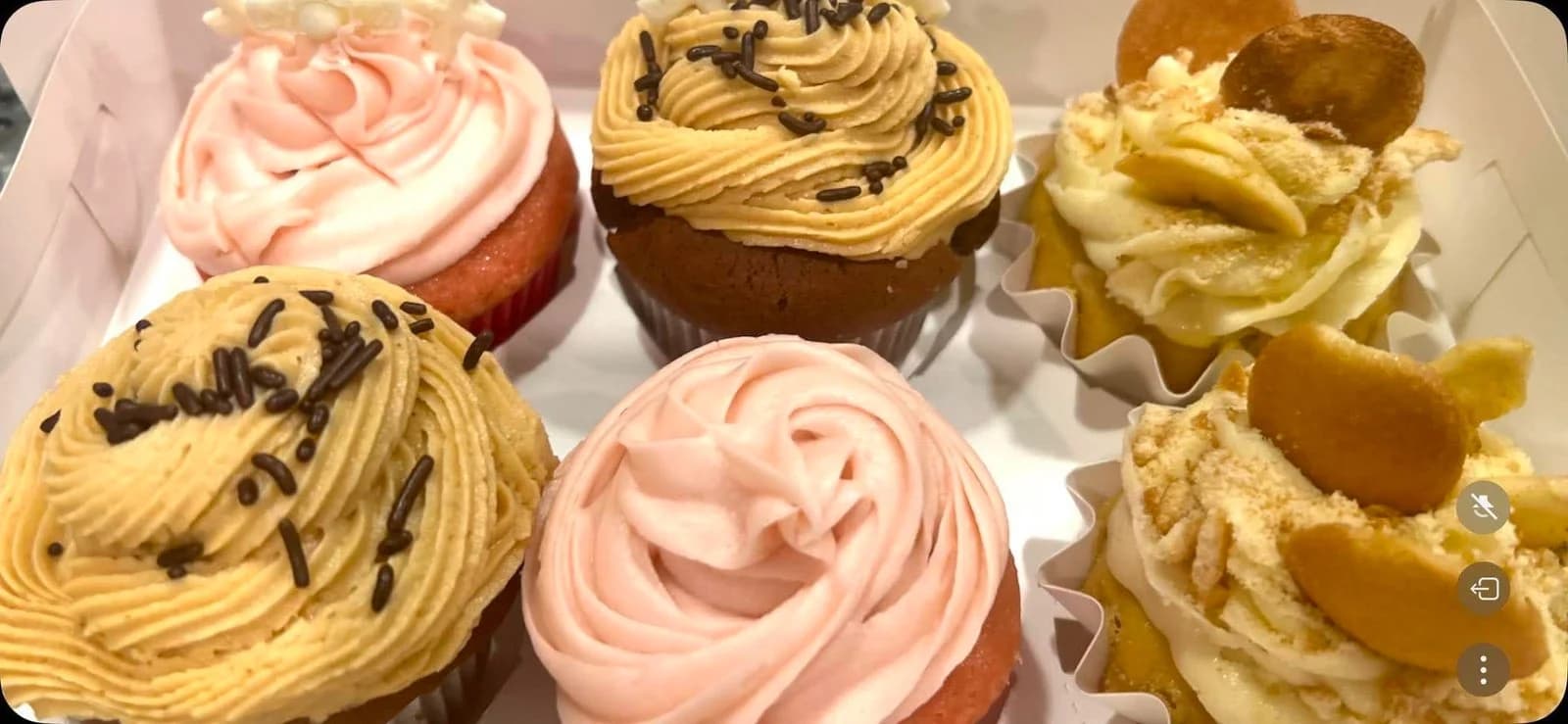 Strawberry Cream Cupcakes
